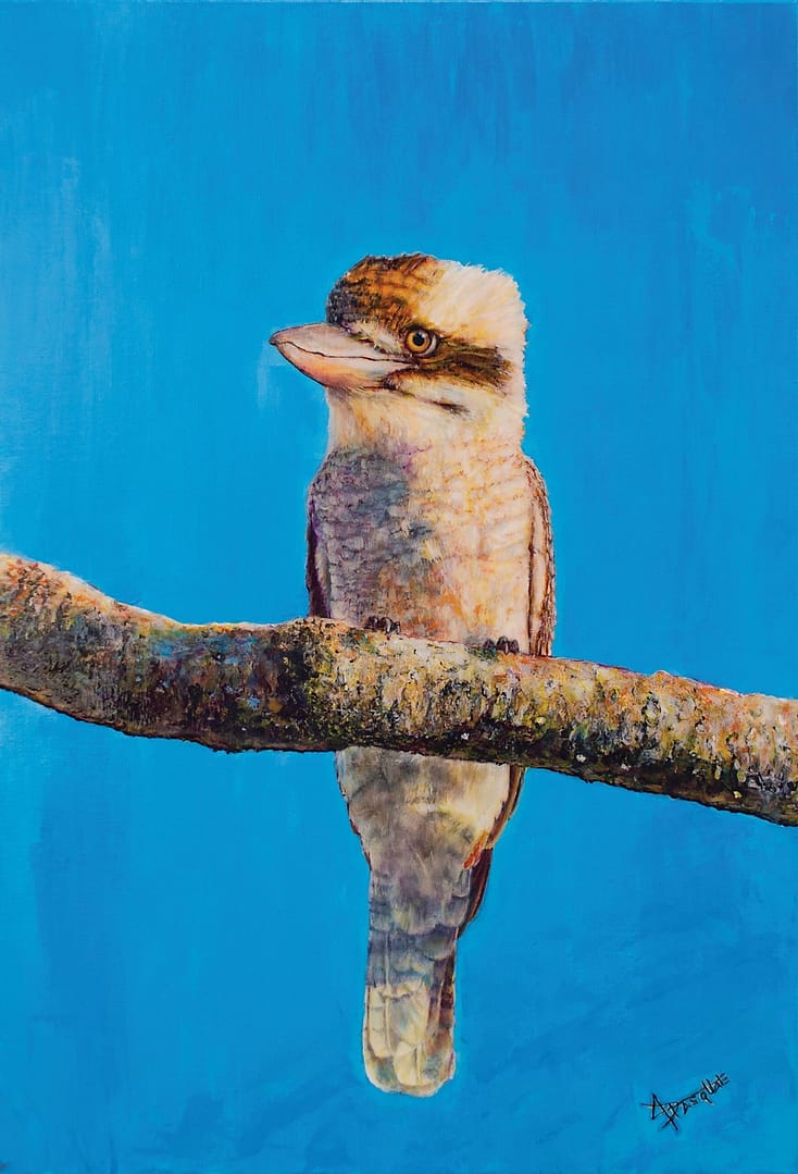 Main: Kookaburra 2020 by Josh De Pasquale