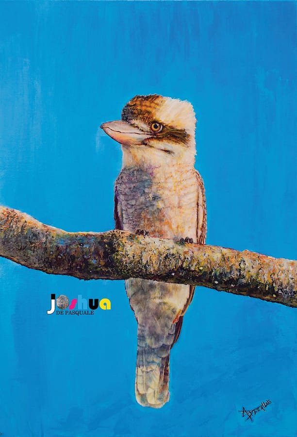 Kookaburra 2020 by Josh De Pasquale