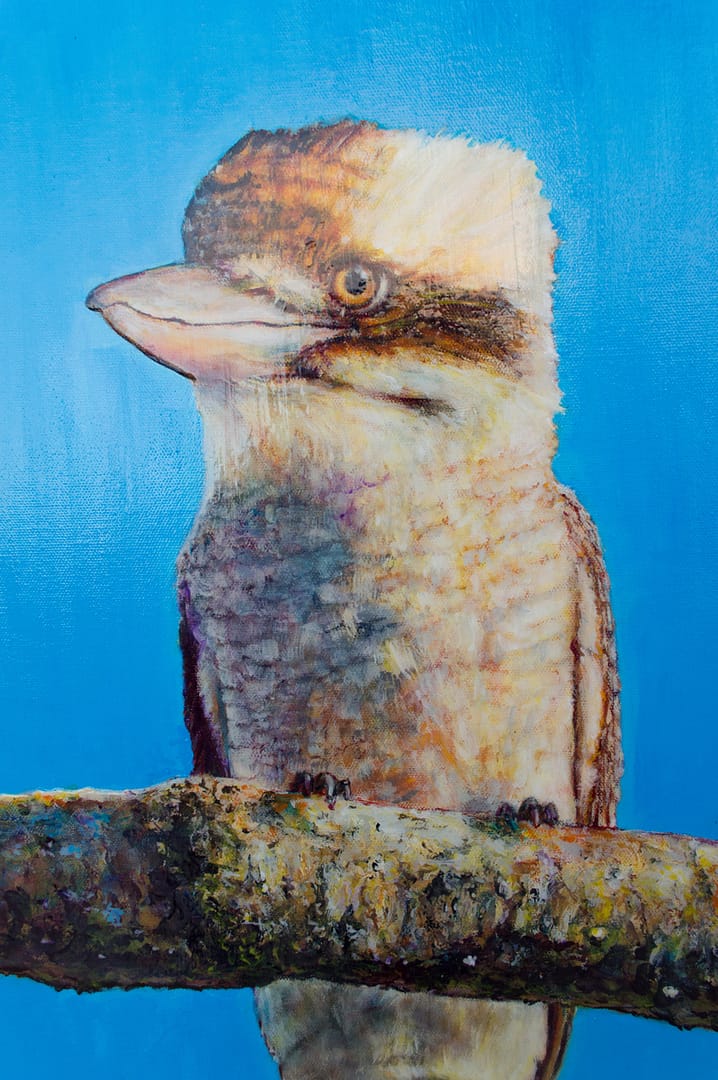 Closeup: Kookaburra 2020 by Josh De Pasquale